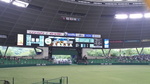 P1000112.jpg